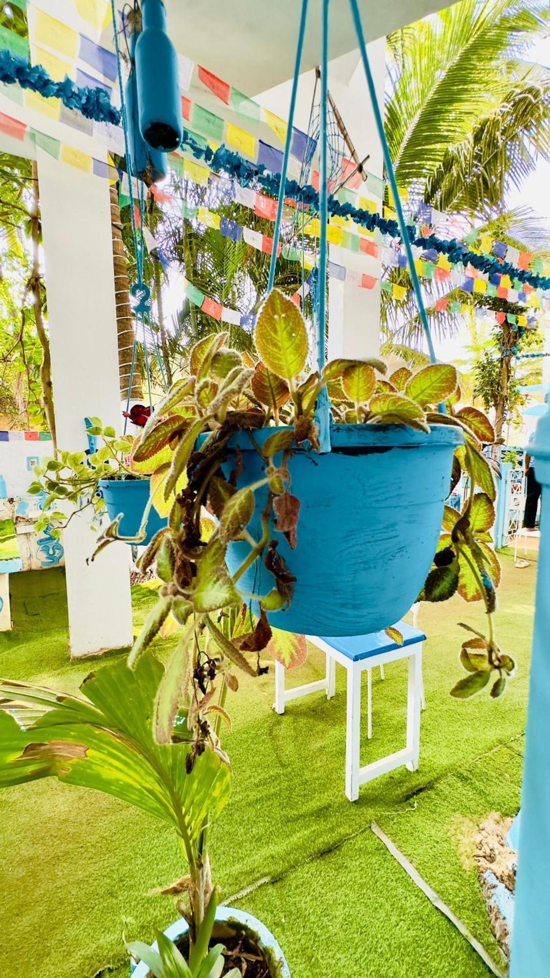 Omkar Wellness Inn Arambol Esterno foto